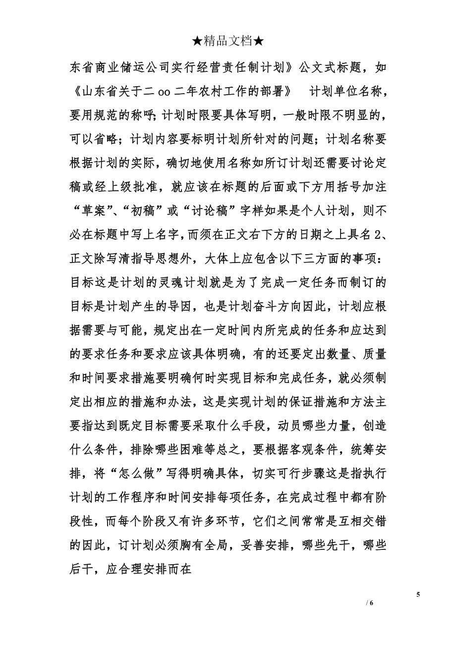 计划书的格式精选_第5页