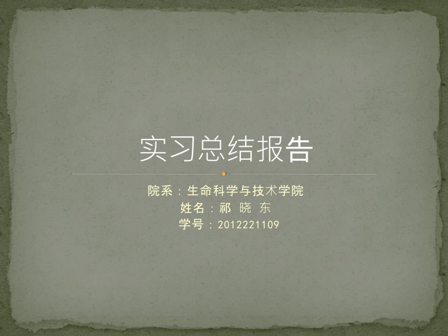 实习总结ppt_第1页