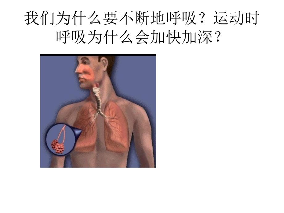 人体能量的供给草稿_第3页