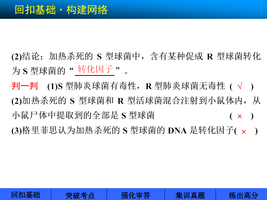 探索遗传物质的过程_第4页