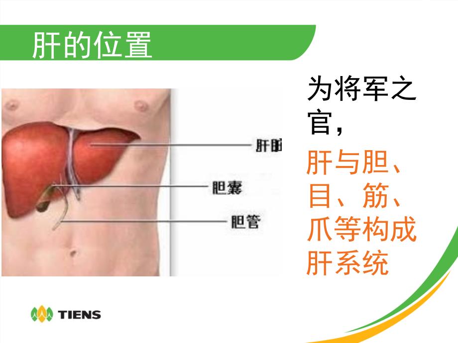 肝心脾肺肾小时养生_第3页