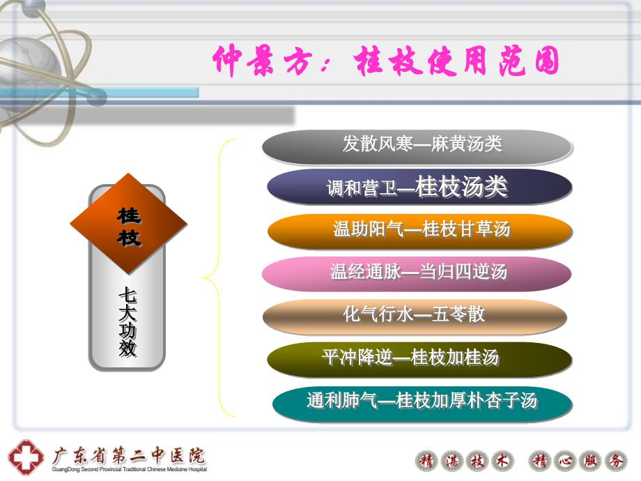 (王清海)从伤寒论谈桂枝的临床应用_第4页