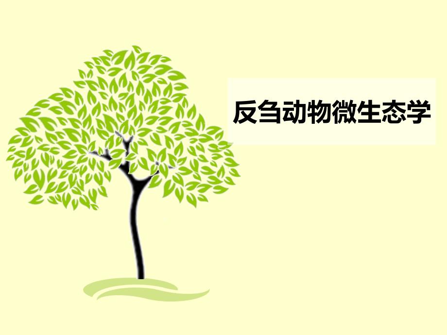 反刍动物微生态_第1页