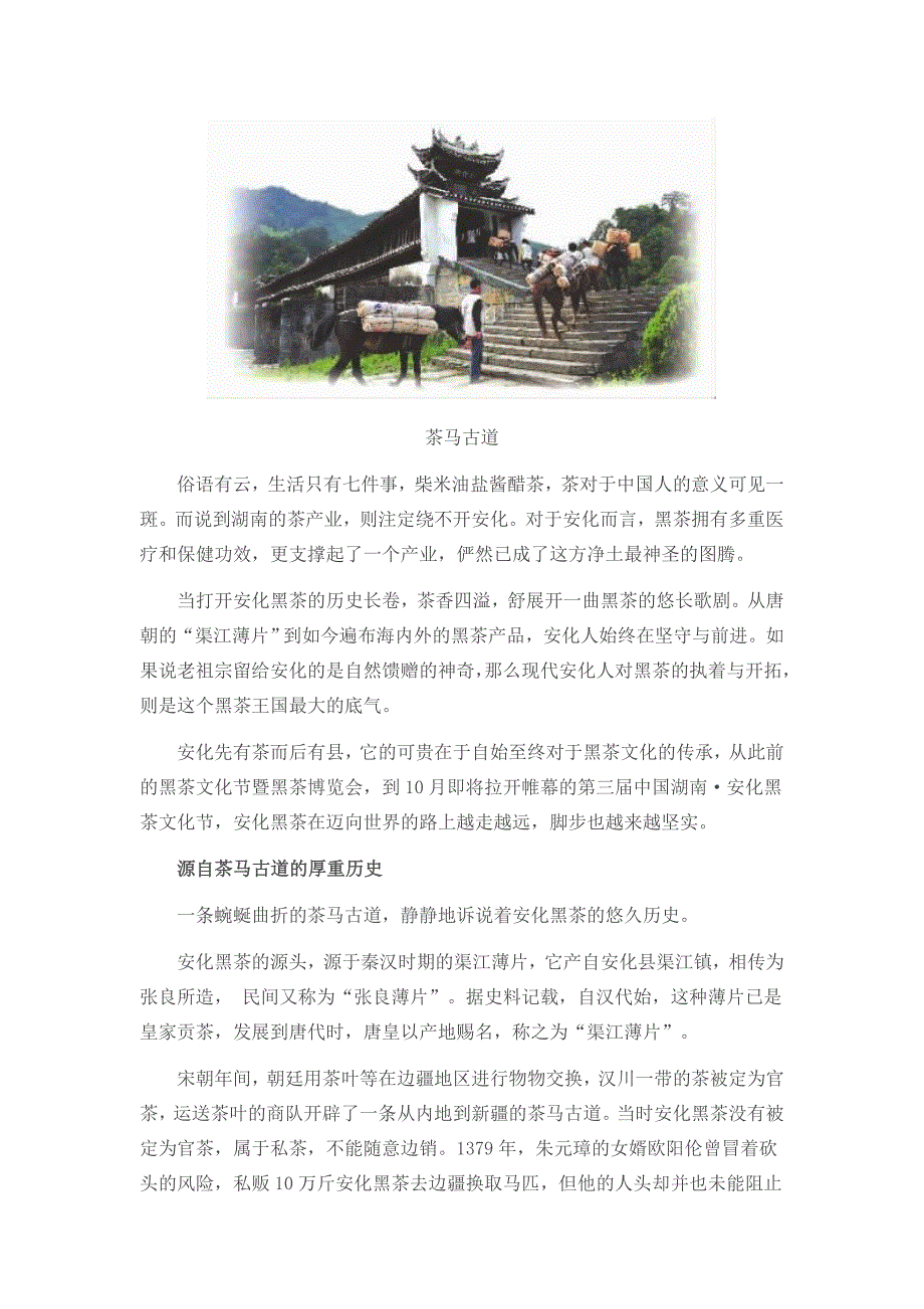 湖南安化：茶文化的老字号与弄潮儿_第2页
