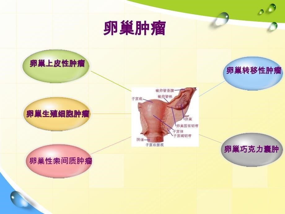 妇瘤科基础知识月_第5页