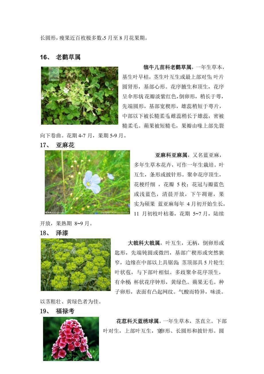 情侣园植物简介_第5页