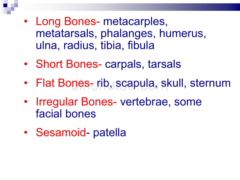 医学英语-骨骼_第4页