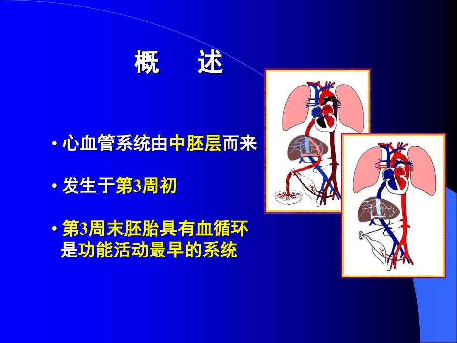 人体组织学与胚胎学(之心脏发生)_第2页