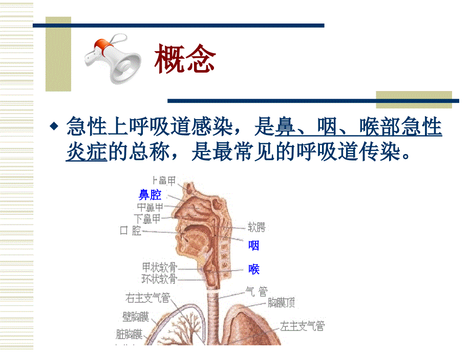 急性呼吸道感染护理_第3页