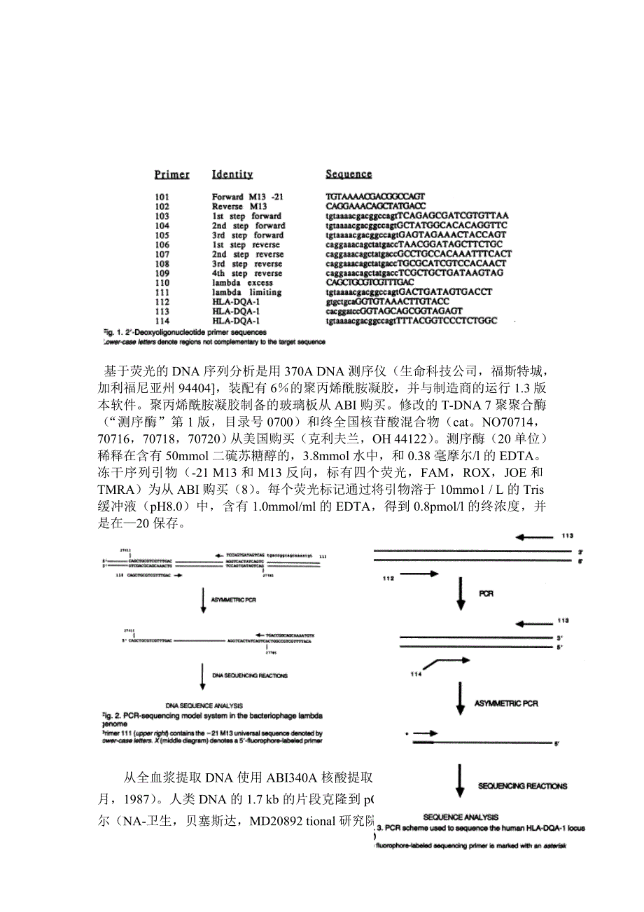 英文用聚合酶链反应方法自动测序dna文章翻译_第2页