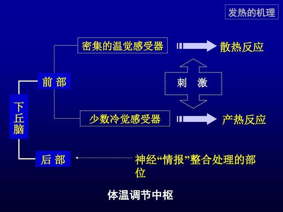 发热的诊断与鉴别诊断_第5页