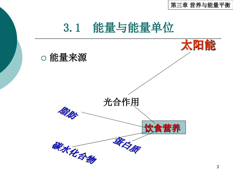 营养与能量平衡_第3页