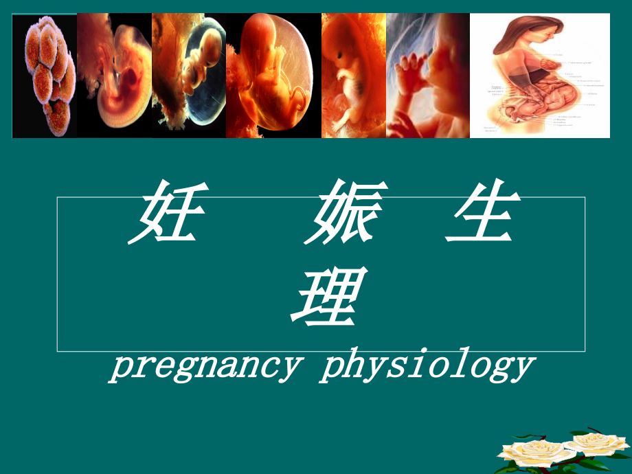 妊娠生理版_第1页