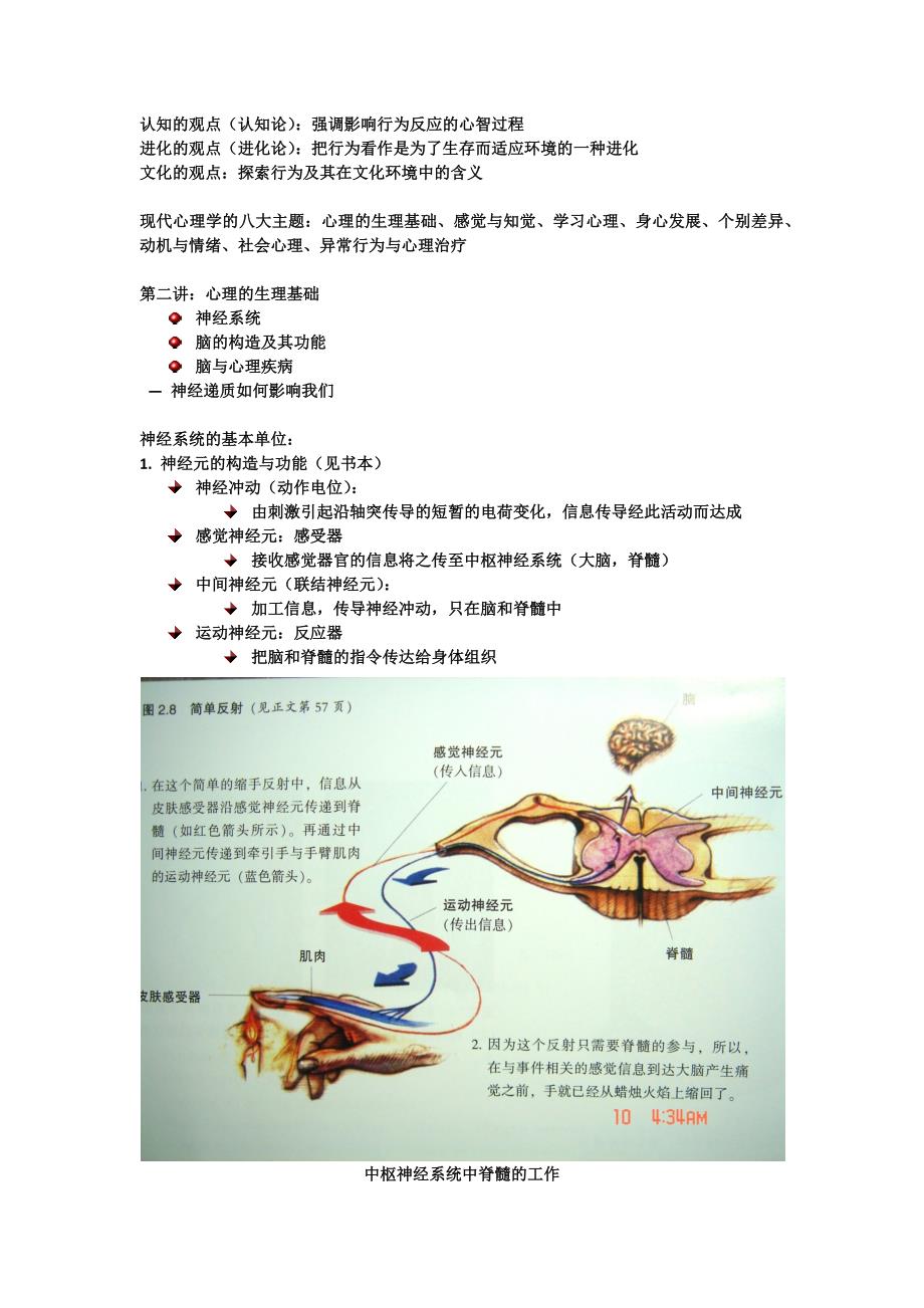 心理学导论 ppt_第3页