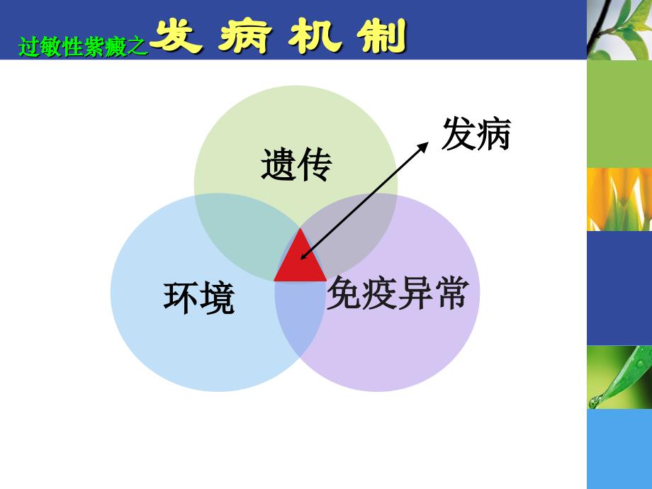 教学：过敏性紫癜性肾炎_第4页