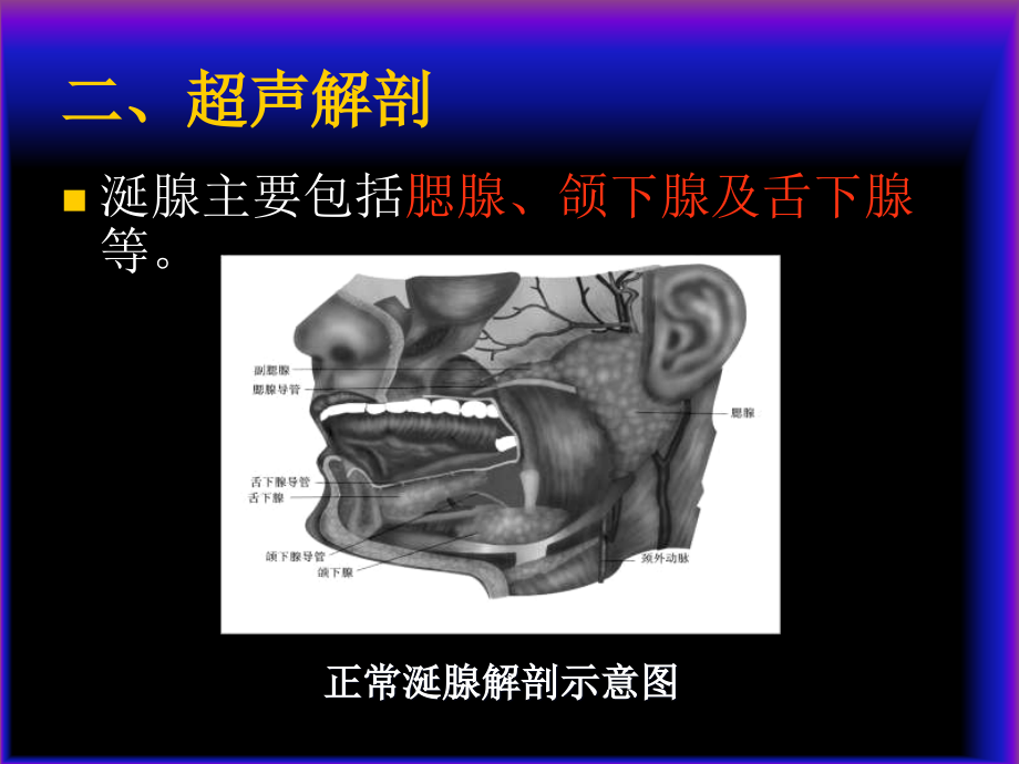 医学超声影像学th涎腺及淋巴结超声诊断_第3页