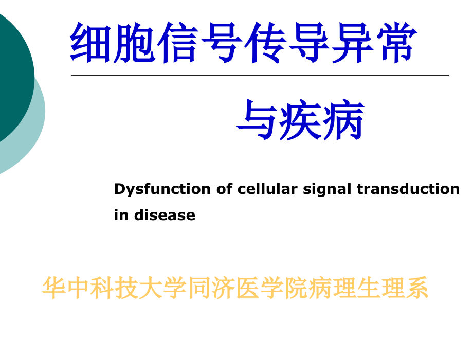 细胞信号转导途径_第4页