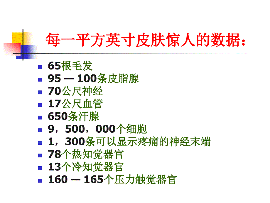 美容基础常识_第4页