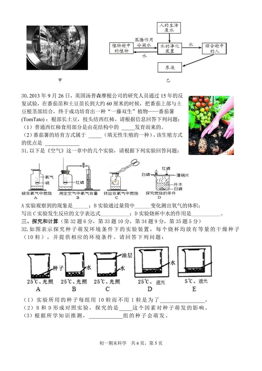 七下期末考试卷_第5页