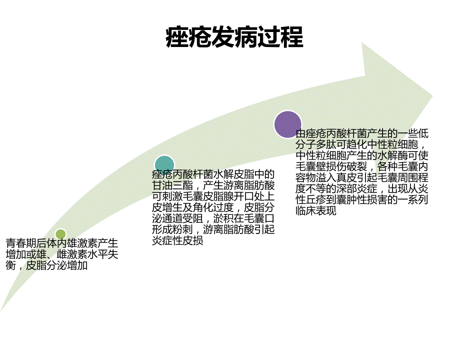 修订痤疮指南解读_第4页