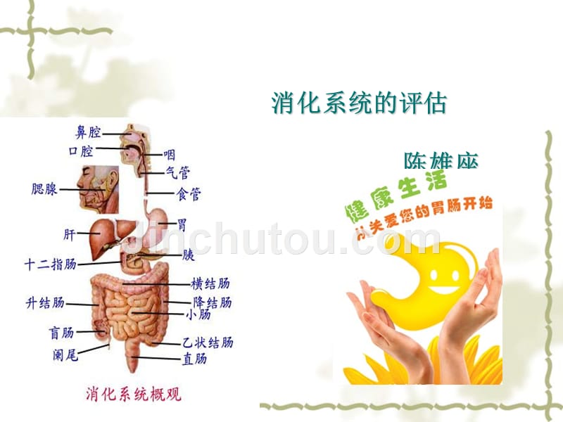 消化系统的评估_第1页