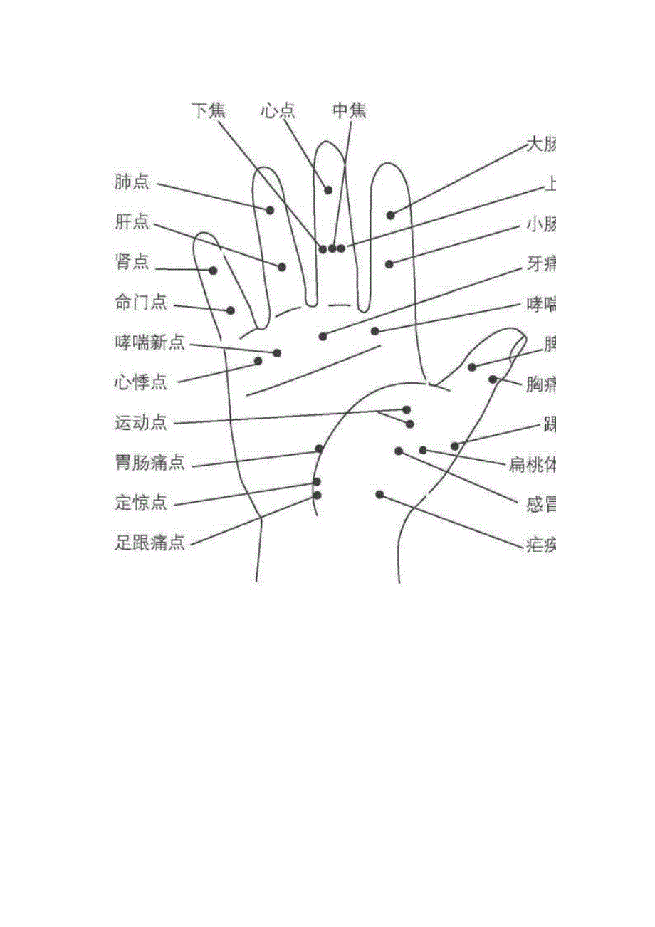 针灸全息图谱)_第3页