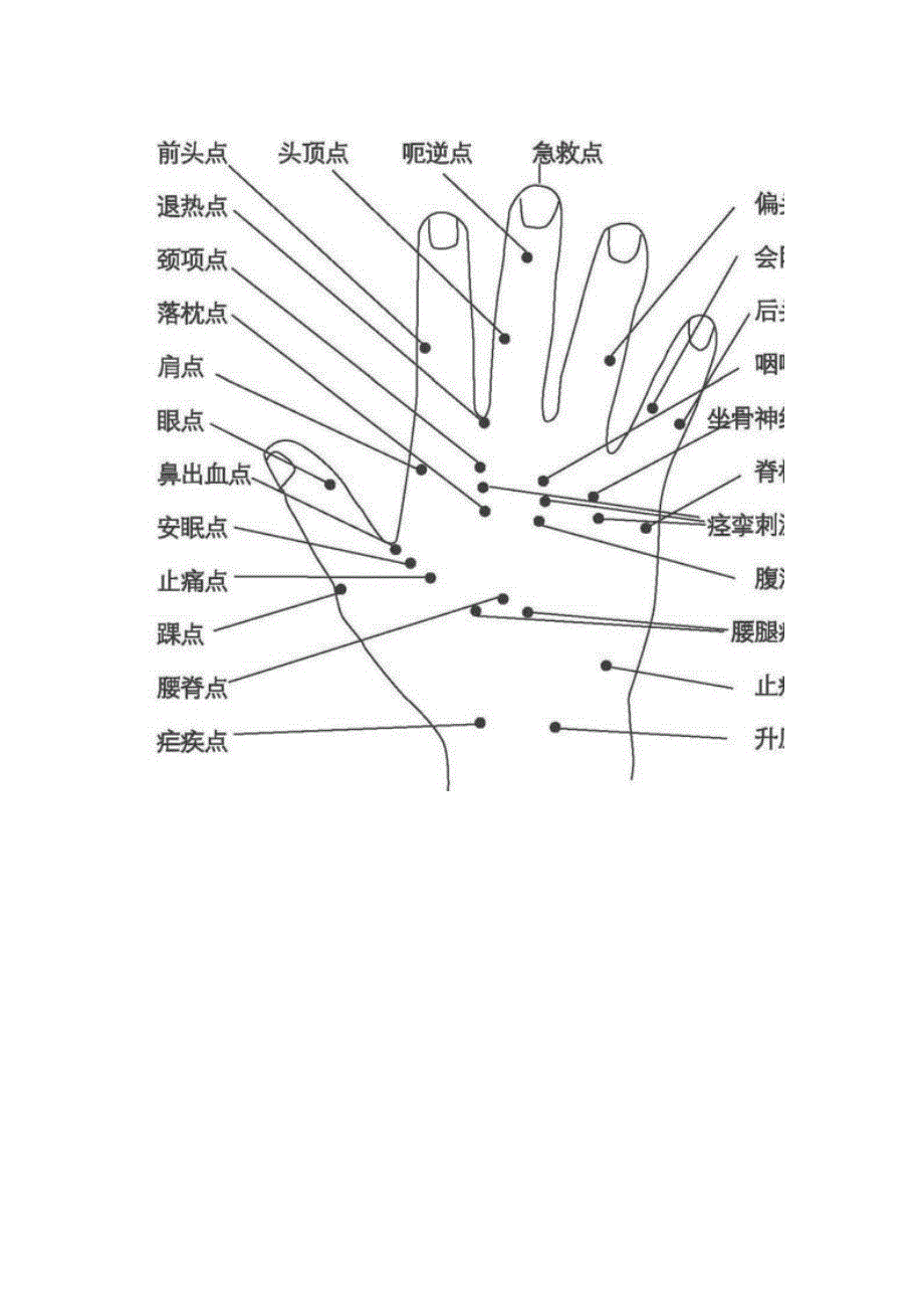 针灸全息图谱)_第4页