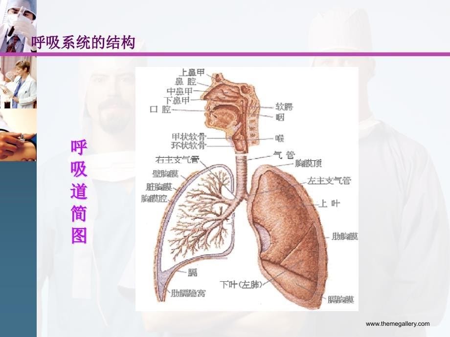 肺癌病人的护理带案例_第5页