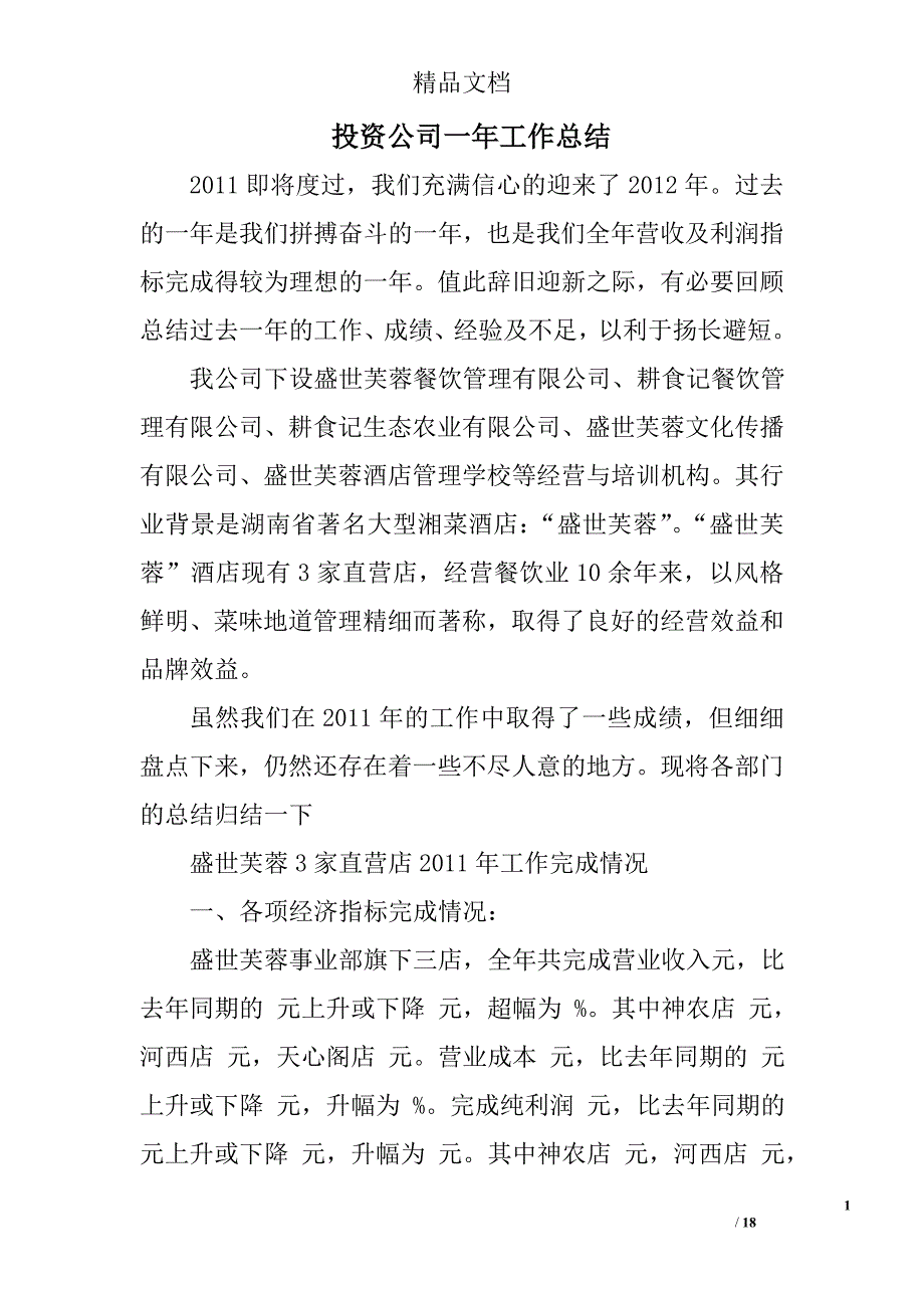 投资公司一年工作总结精选 _第1页