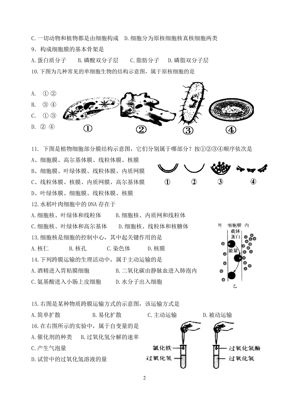 高一生物模拟试题(一)_第2页