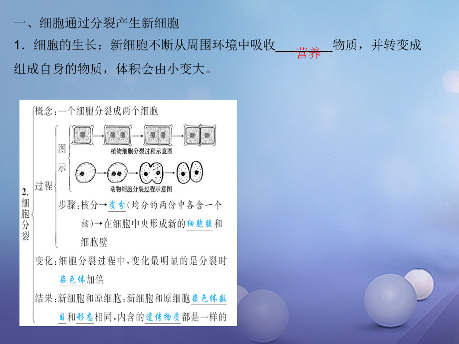 2017年中考生物 第二章 细胞怎样构成生物体复习课件_第3页