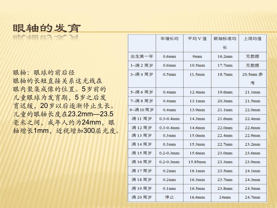 眼部基础知识培训_第4页