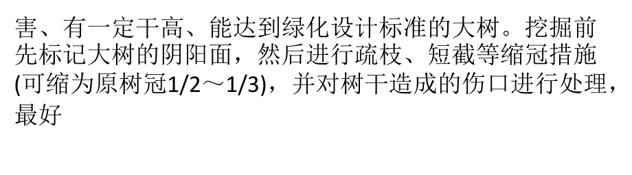 黄桃树苗落叶乔木大树移栽技巧_第4页