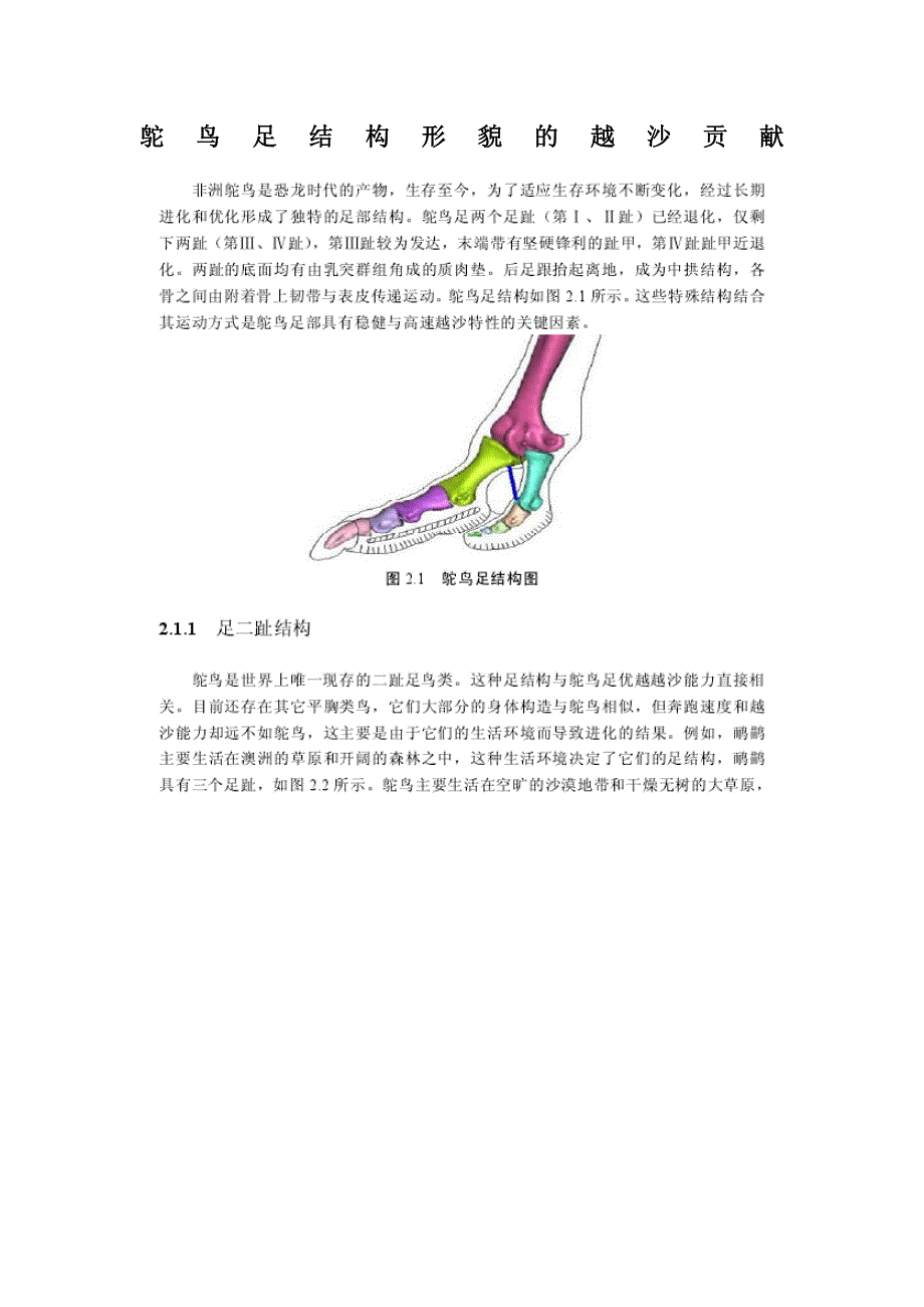 鸵鸟足结构形貌的越沙贡献_第1页