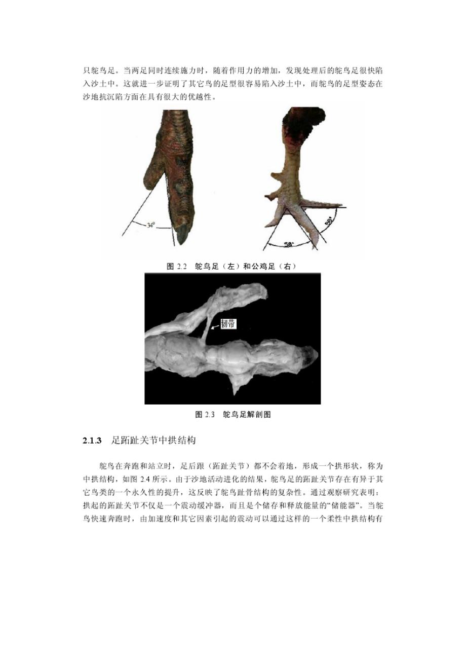 鸵鸟足结构形貌的越沙贡献_第3页