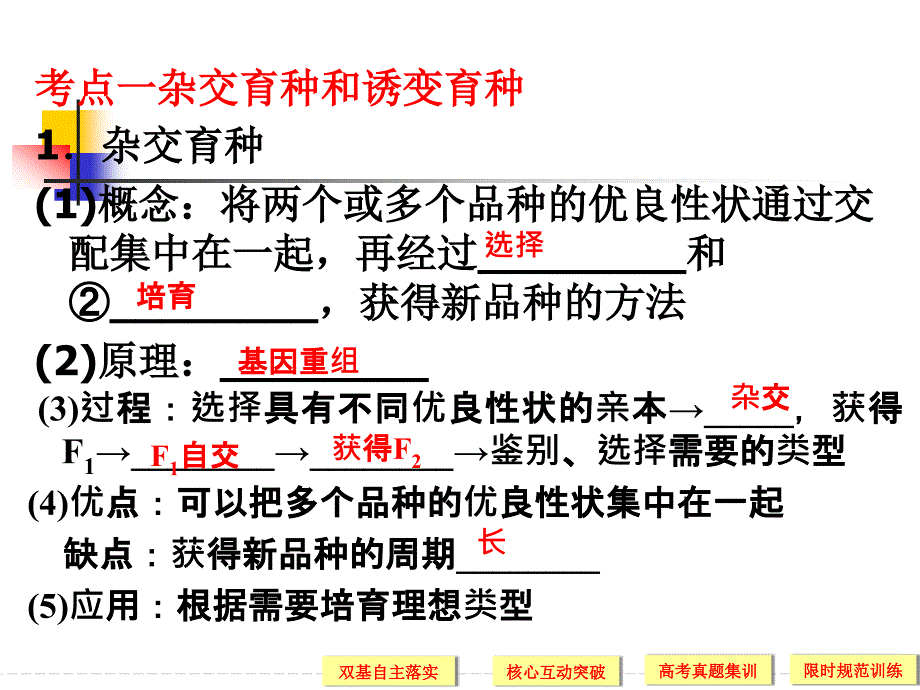 变异与育种高三生物一轮复习_第4页