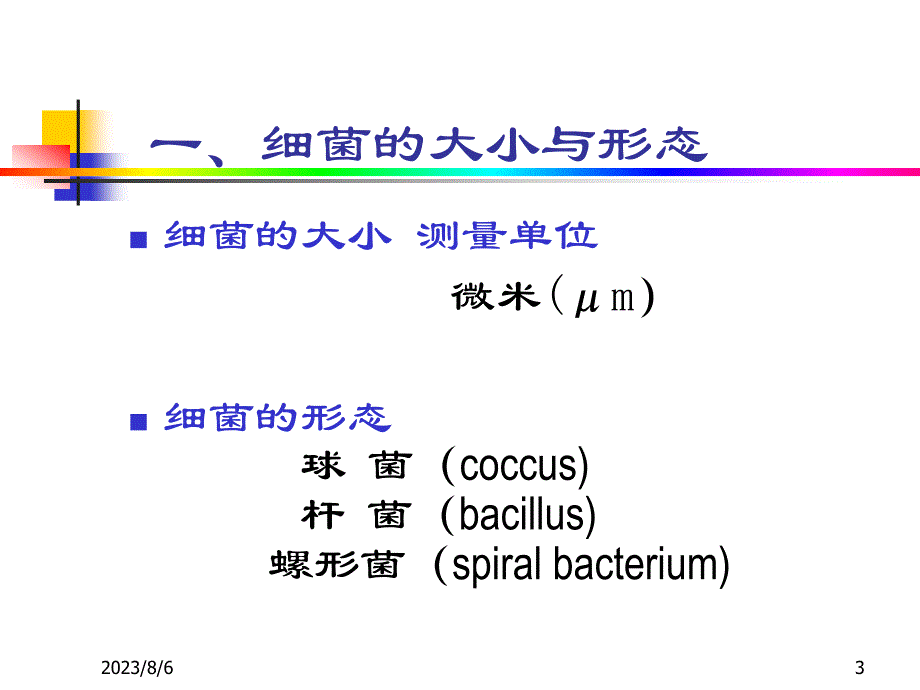 细菌基本性状_第3页