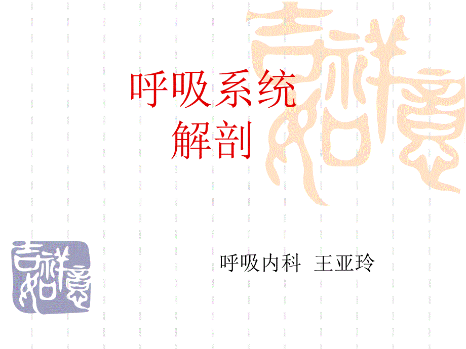 呼吸系统解剖_第1页