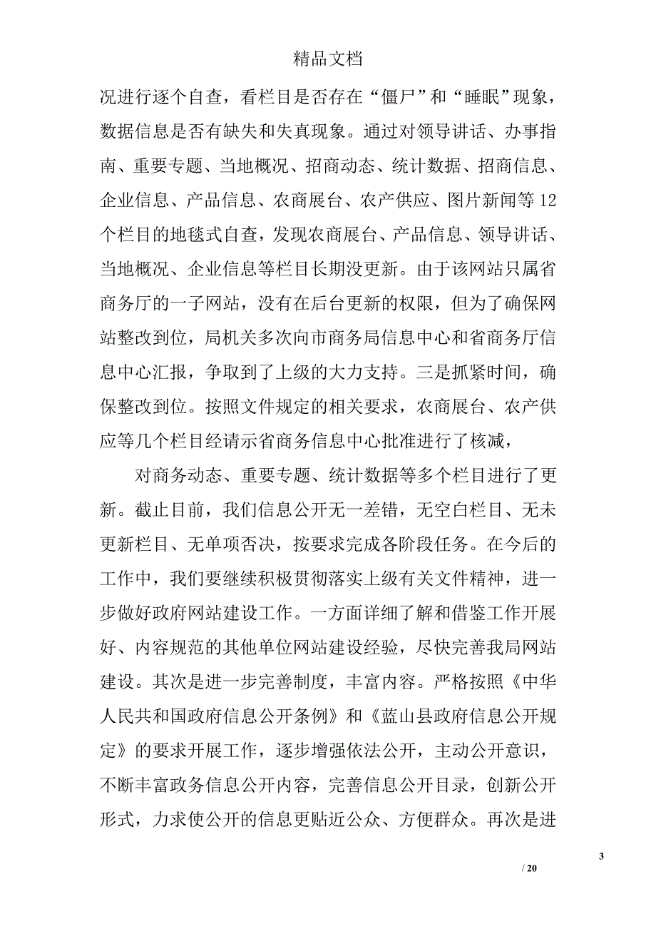 政府网站自查整改报告精选 _第3页