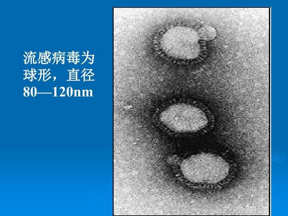 学校托幼机构常见传染病防控知识_第5页