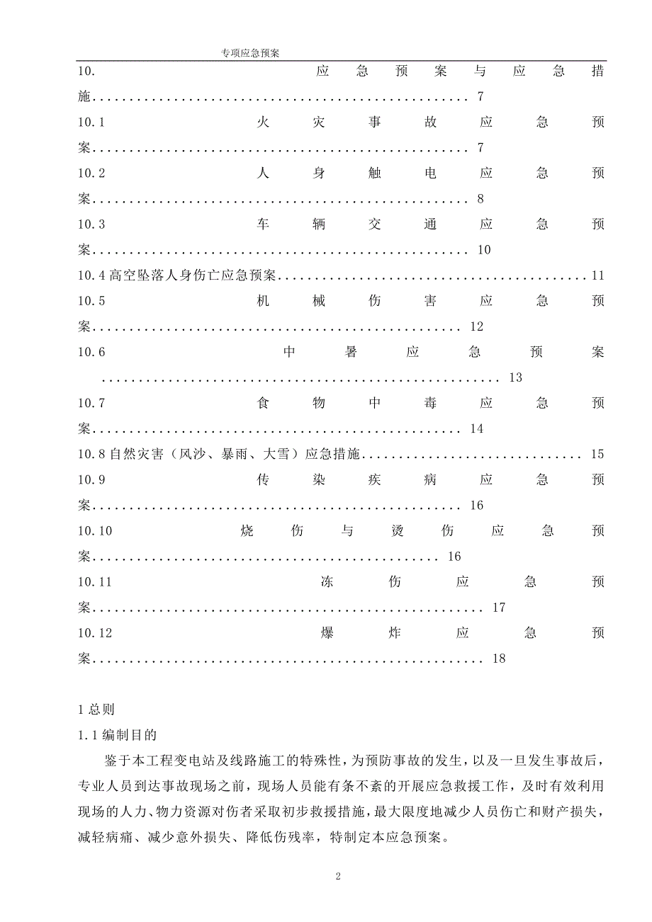 项目专项应急预案_第2页