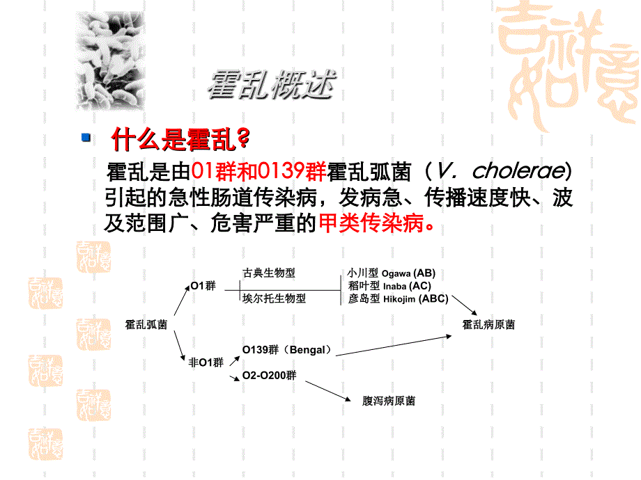 霍乱弧菌实验室检测_第3页