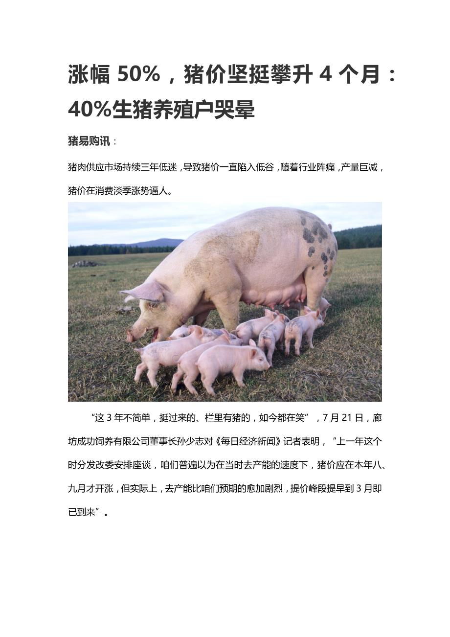 涨幅50%,猪价坚挺攀升4个月：40%生猪养殖户哭晕_第1页