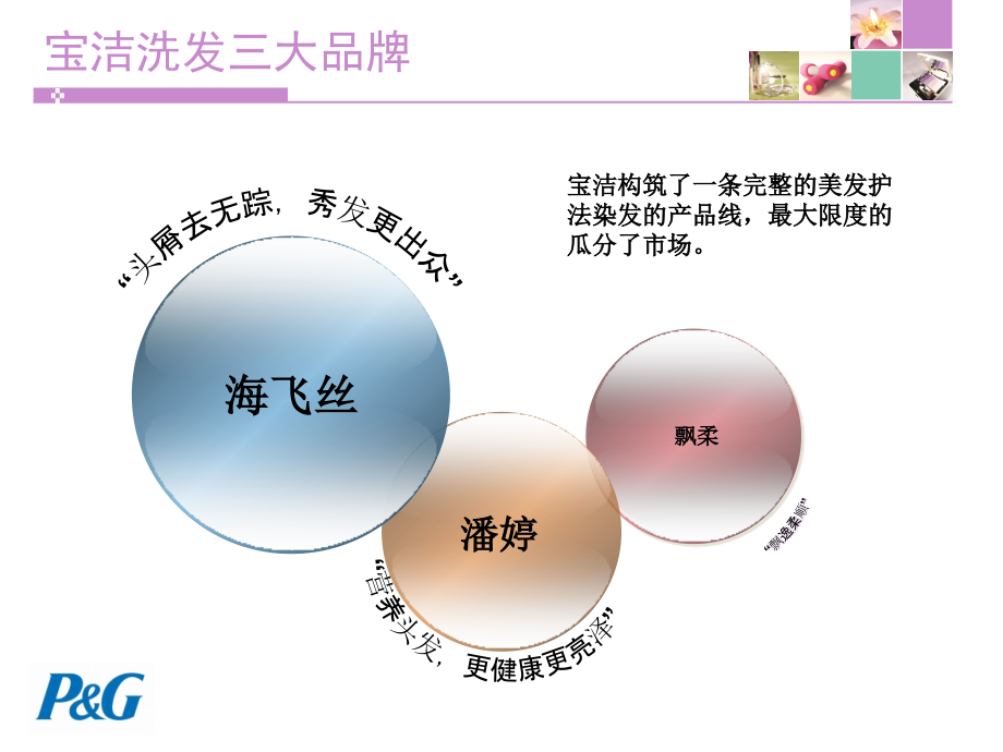 广告策划-ppt】广告案例分析_潘婷_第4页