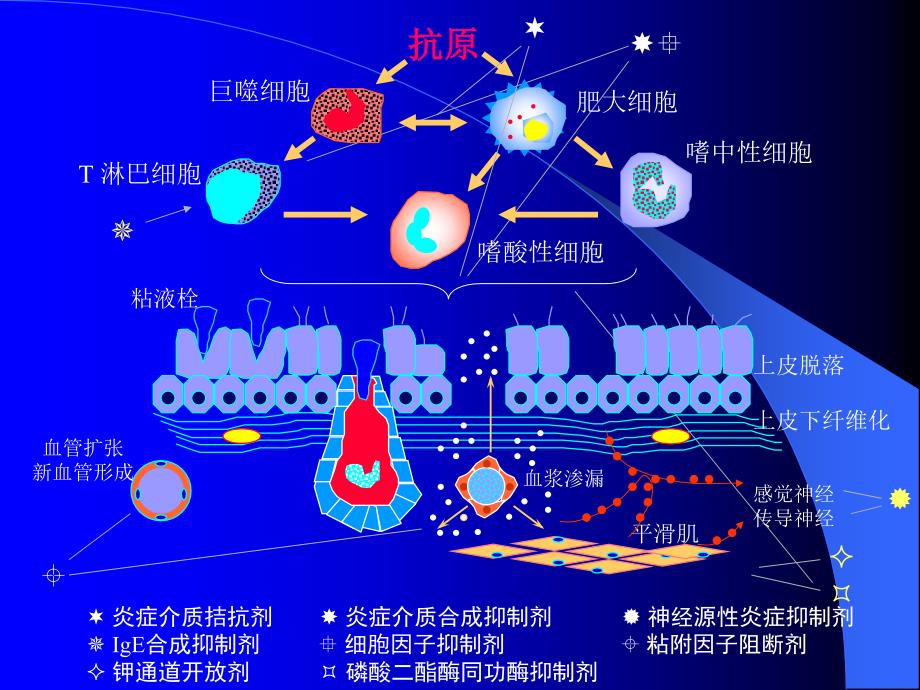 全球哮喘防治创议_第4页