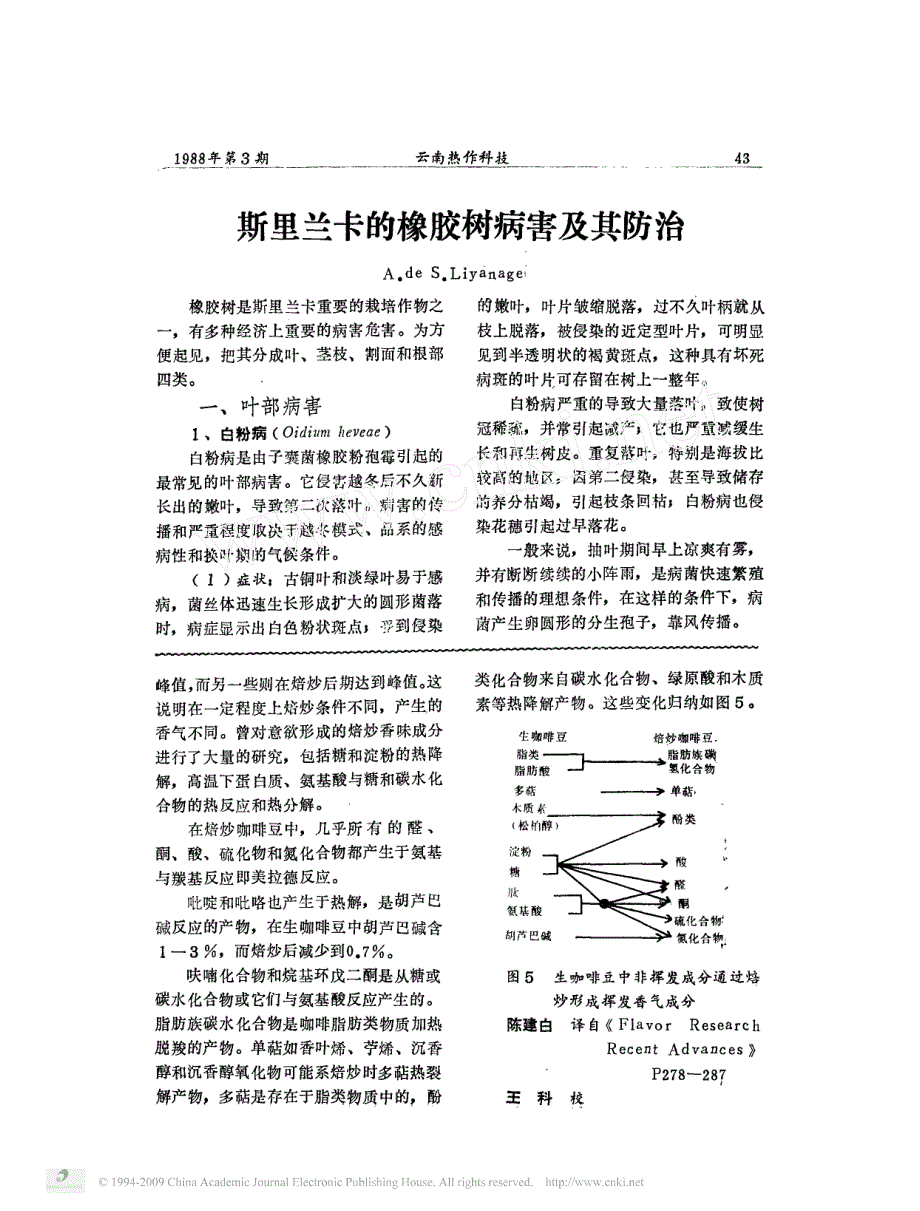 咖啡的香气成分_第4页