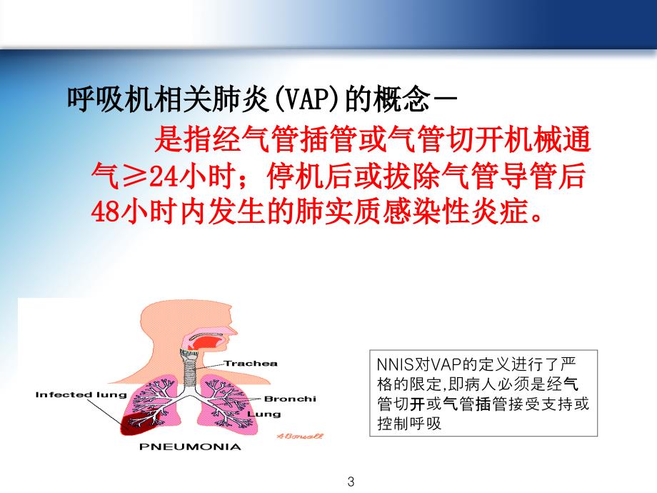 呼吸机相关肺炎的预防_第3页