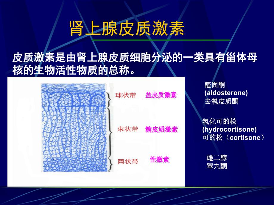 糖皮质激素(麻醉)_第2页