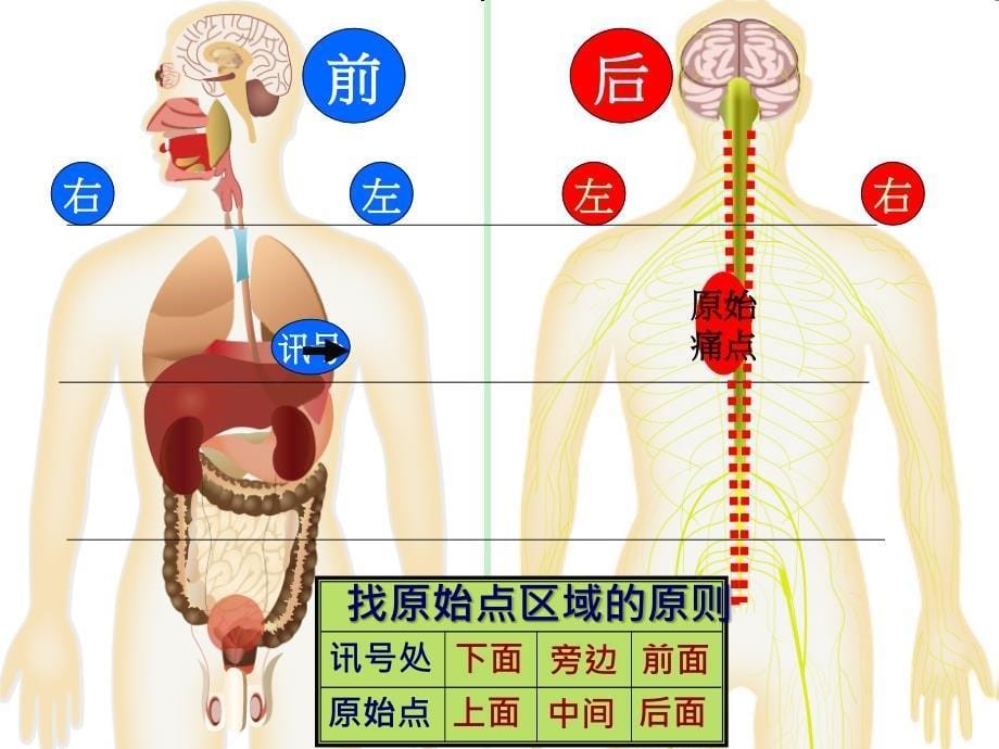 原始点疗法讲稿_第5页