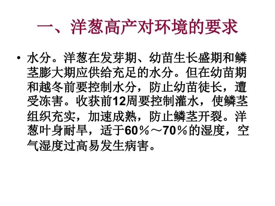 莱州洋葱高产优质_第5页